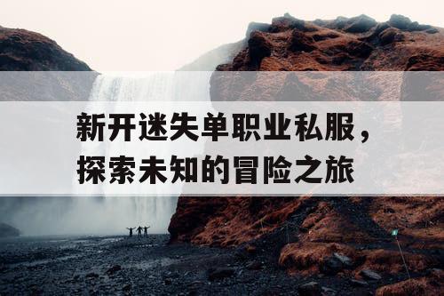 新开迷失单职业私服，探索未知的冒险之旅
