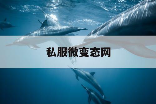 私服微变态网