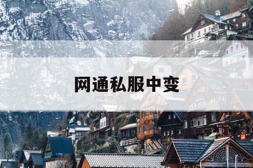网通私服中变