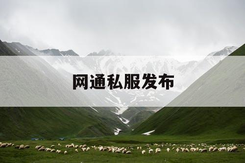 网通私服发布