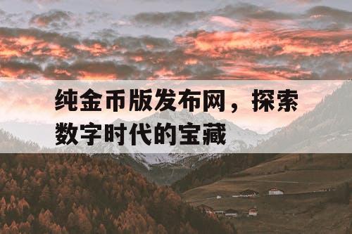 纯金币版发布网，探索数字时代的宝藏