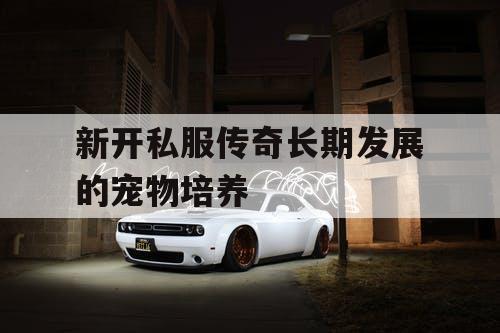 新开私服传奇长期发展的宠物培养
