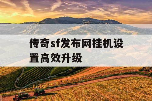 传奇sf发布网挂机设置高效升级