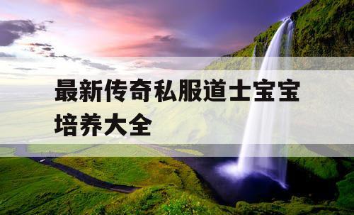 最新传奇私服道士宝宝培养大全