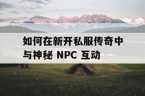 如何在新开私服传奇中与神秘 NPC 互动