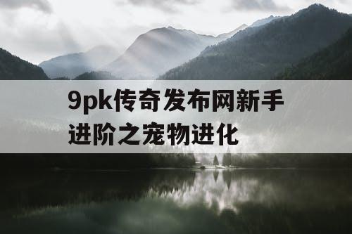 9pk传奇发布网新手进阶之宠物进化