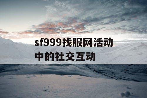 sf999找服网活动中的社交互动