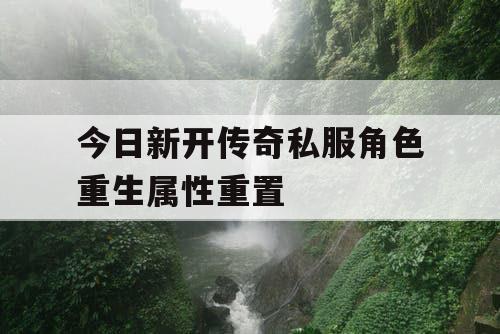 今日新开传奇私服角色重生属性重置