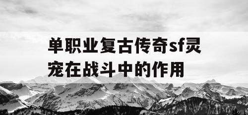 单职业复古传奇sf灵宠在战斗中的作用
