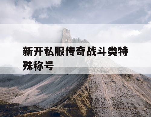 新开私服传奇战斗类特殊称号