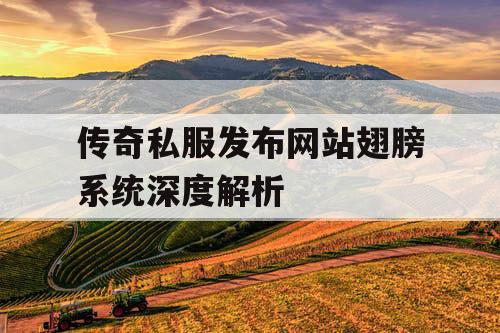 传奇私服发布网站翅膀系统深度解析