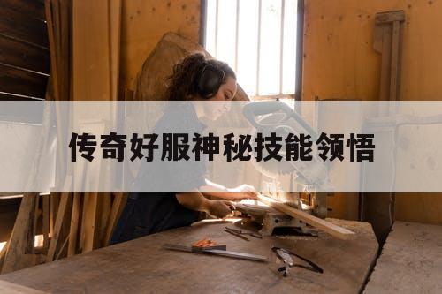 传奇好服神秘技能领悟
