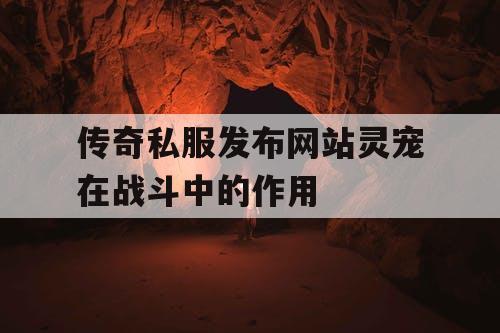 传奇私服发布网站灵宠在战斗中的作用