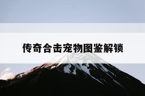 传奇合击宠物图鉴解锁