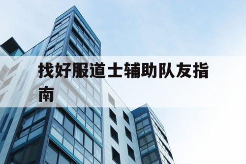 找好服道士辅助队友指南