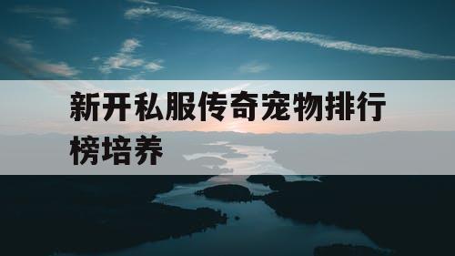 新开私服传奇宠物排行榜培养