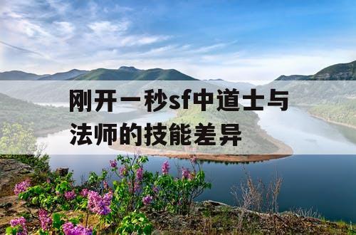 刚开一秒sf中道士与法师的技能差异