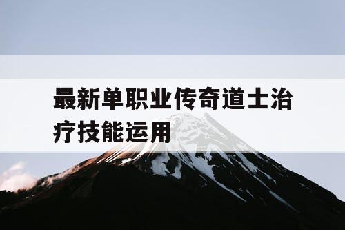最新单职业传奇道士治疗技能运用