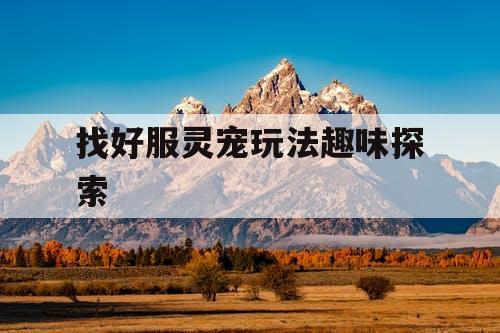 找好服灵宠玩法趣味探索