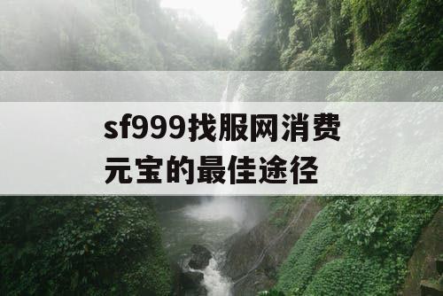 sf999找服网消费元宝的最佳途径
