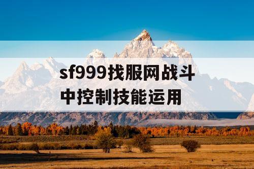 sf999找服网战斗中控制技能运用