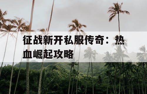征战新开私服传奇：热血崛起攻略