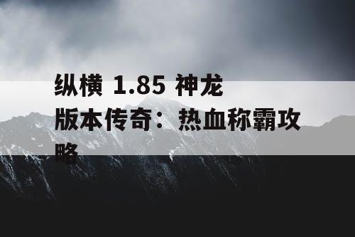 纵横 1.85 神龙版本传奇：热血称霸攻略