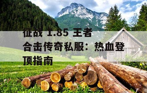 征战 1.85 王者合击传奇私服：热血登顶指南
