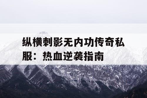 纵横刺影无内功传奇私服：热血逆袭指南