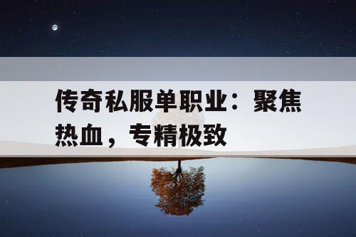 传奇私服单职业：聚焦热血，专精极致