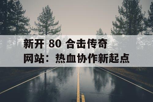 新开 80 合击传奇网站：热血协作新起点