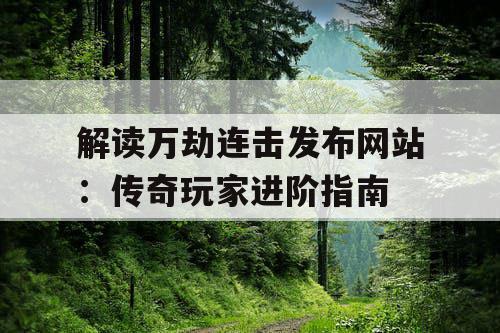 解读万劫连击发布网站：传奇玩家进阶指南