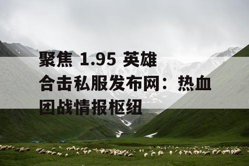 聚焦 1.95 英雄合击私服发布网：热血团战情报枢纽