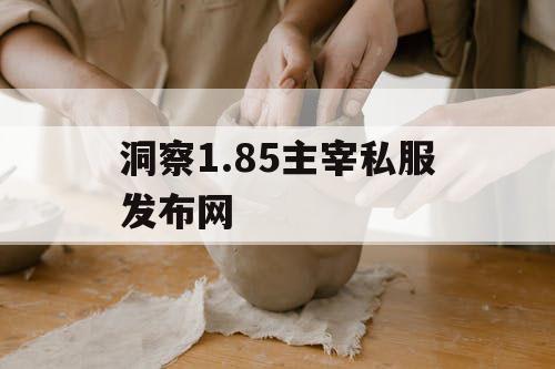 洞察1.85主宰私服发布网