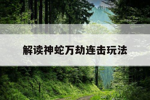 解读神蛇万劫连击玩法