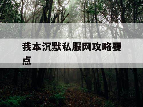 我本沉默私服网攻略要点
