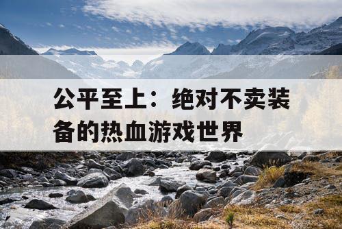 公平至上：绝对不卖装备的热血游戏世界