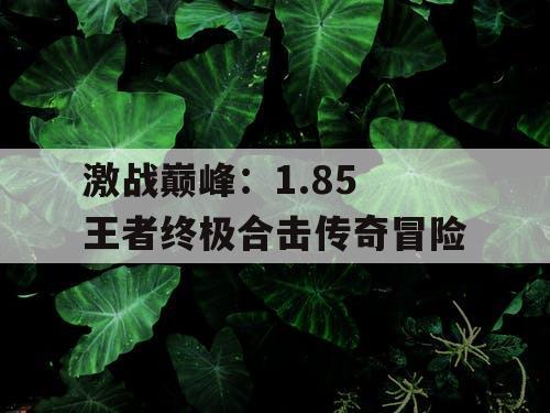 激战巅峰：1.85 王者终极合击传奇冒险