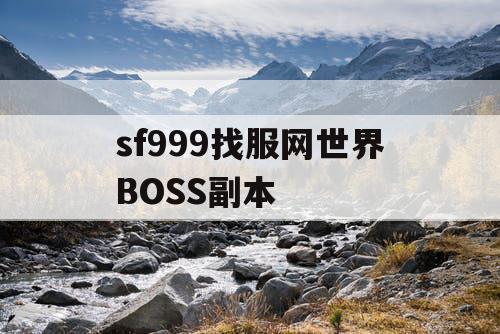 sf999找服网世界BOSS副本