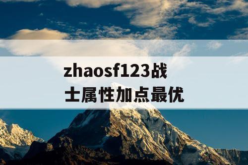 zhaosf123战士属性加点最优