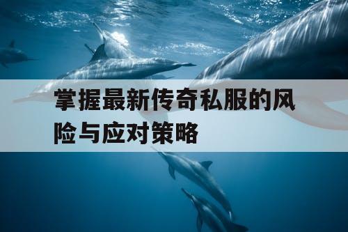 掌握最新传奇私服的风险与应对策略