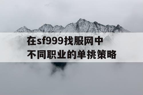 在sf999找服网中不同职业的单挑策略