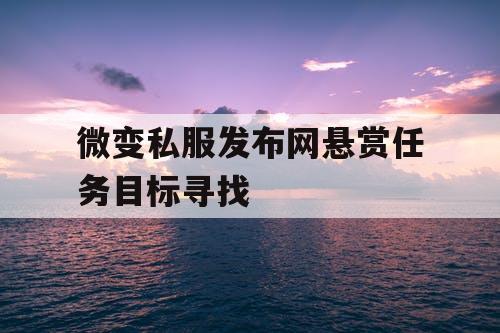微变私服发布网悬赏任务目标寻找
