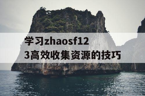 学习zhaosf123高效收集资源的技巧