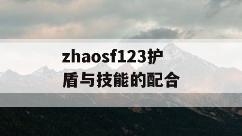zhaosf123护盾与技能的配合