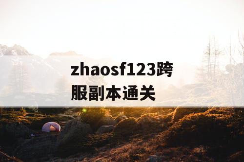 zhaosf123跨服副本通关