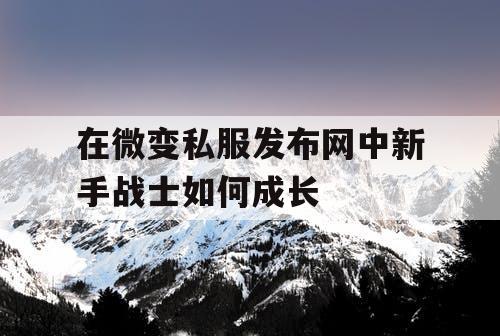 在微变私服发布网中新手战士如何成长