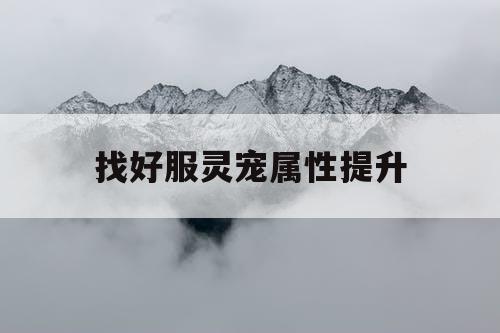 找好服灵宠属性提升