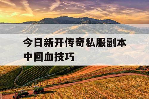 今日新开传奇私服副本中回血技巧