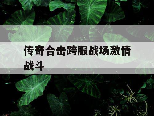 传奇合击跨服战场激情战斗